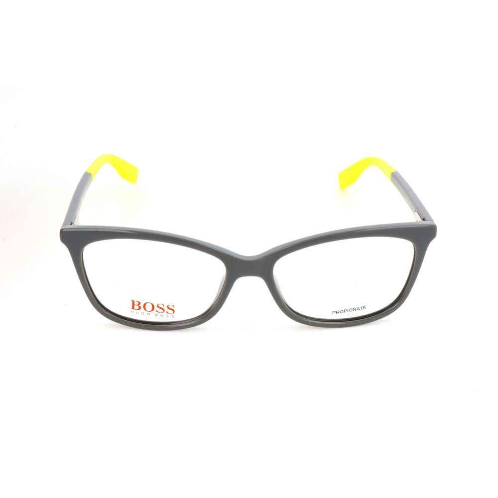 Hugo Boss Gray Injected Glasses (Frames)