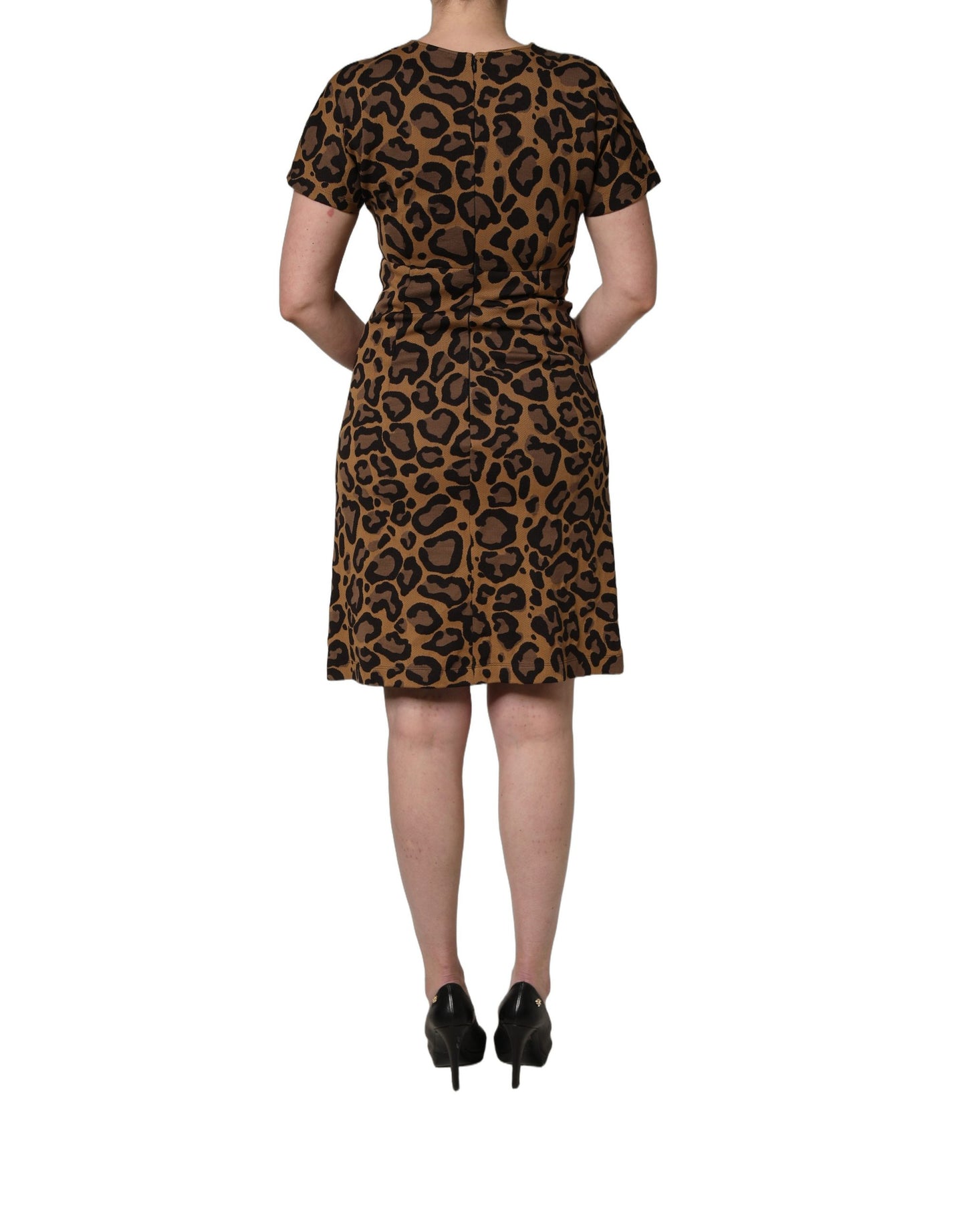 Dolce & Gabbana Brown Leopard Jacquard Knee Length Dress