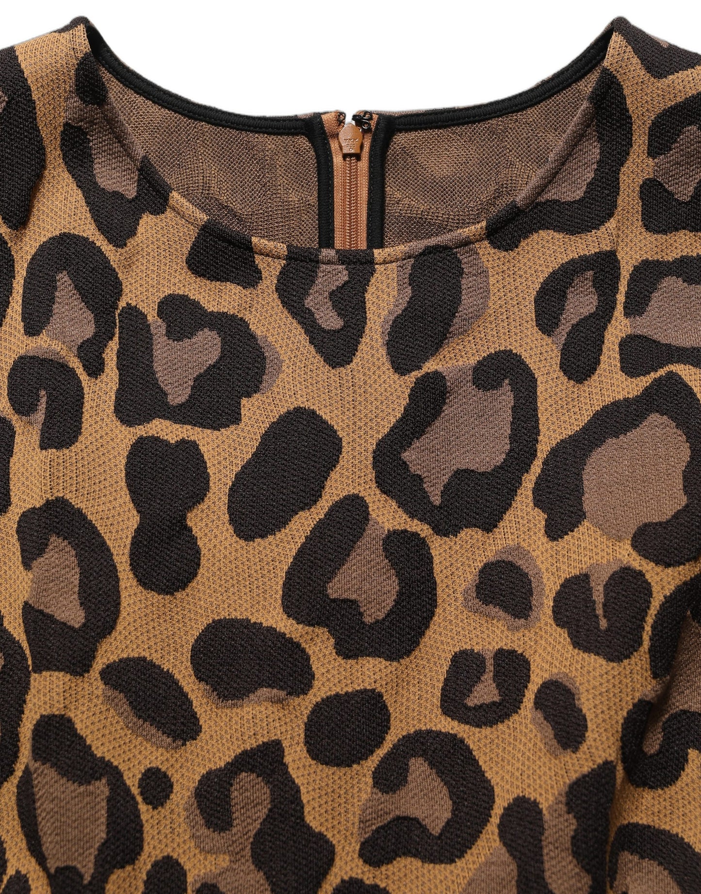 Dolce & Gabbana Brown LeopardPrint Flared A-line Mini Dress