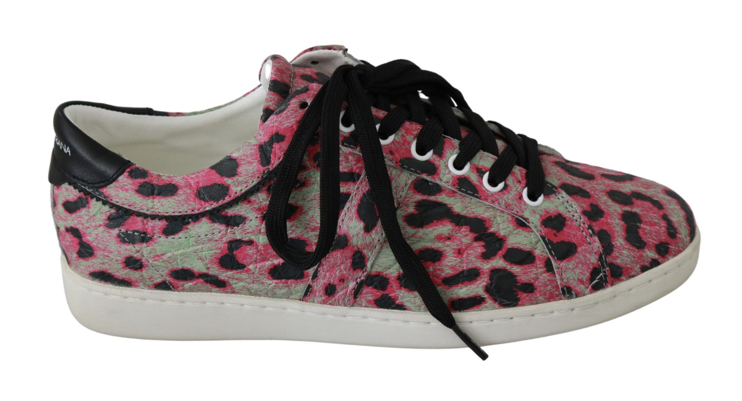 Dolce &amp; Gabbana Multicolor Crocodile Leather Sneakers