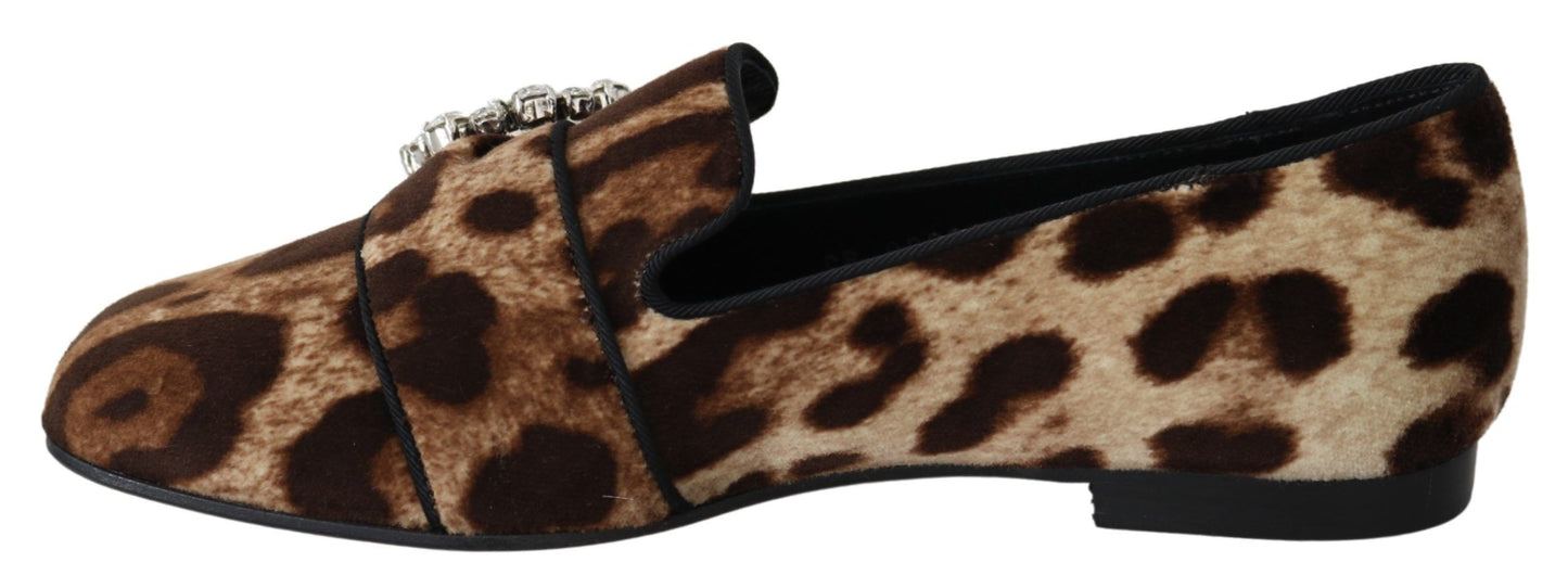 Dolce &amp; Gabbana Leopard Print Crystal koristellut loafers