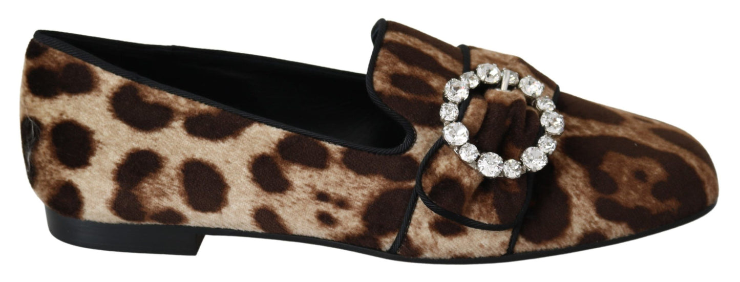 Dolce &amp; Gabbana Leopard Print Crystal koristellut loafers