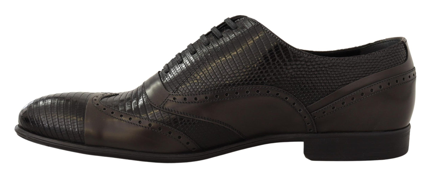 Dolce &amp; Gabbana Elegant Oxford -kengät ruskeaa liskonahkaa