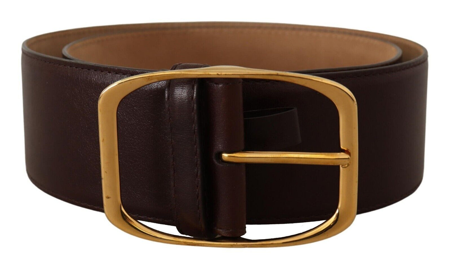 Dolce &amp; Gabbana Elegant dark brown leather belt with gold buckle