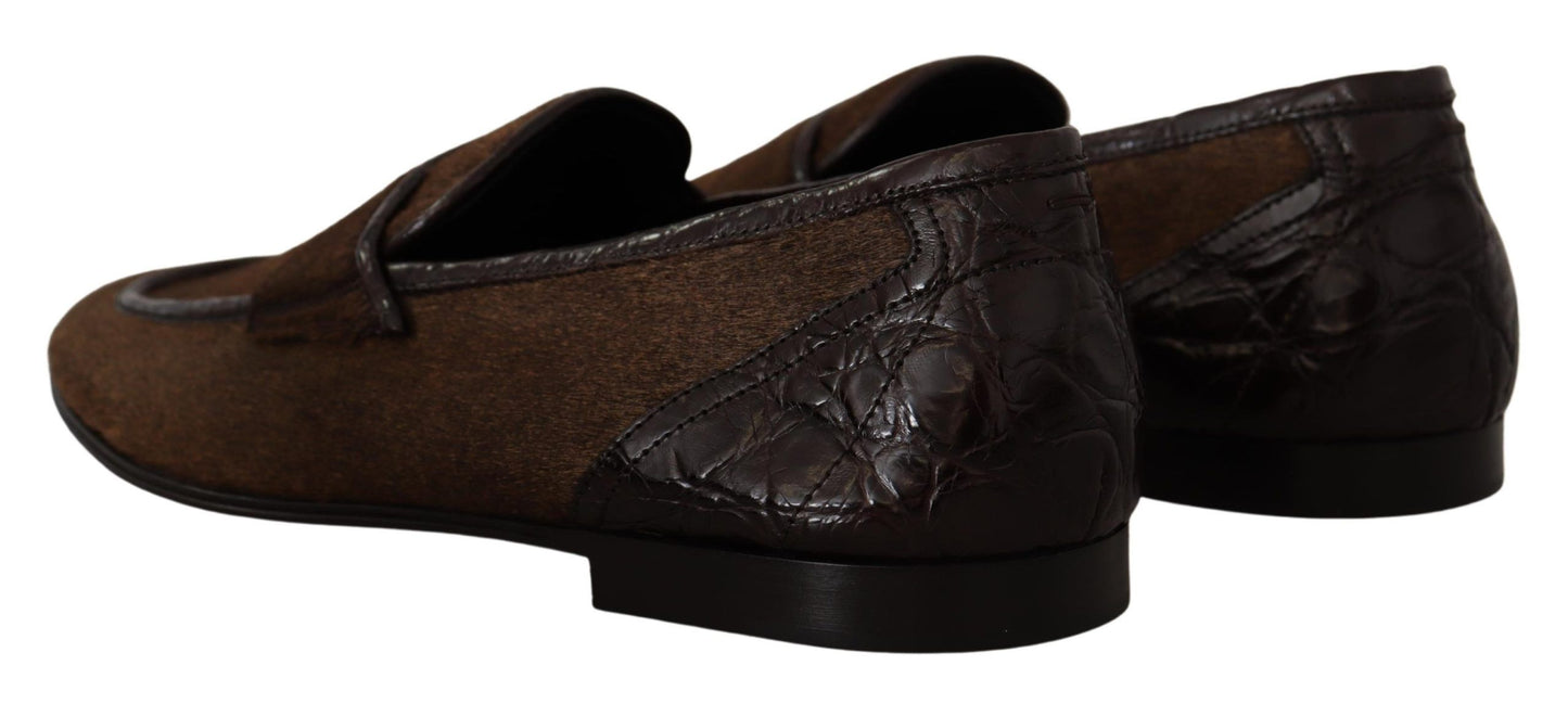 Dolce & Gabbana Elegante braune Loafers aus Kaimanleder