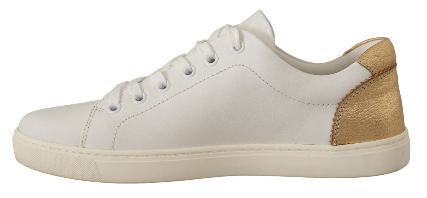 Dolce &amp; Gabbana Elegant sneakers in white leather with gold accents