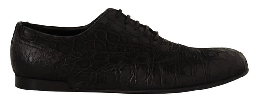 Dolce &amp; Gabbana Elegant Oxford shoes made of exotic leather