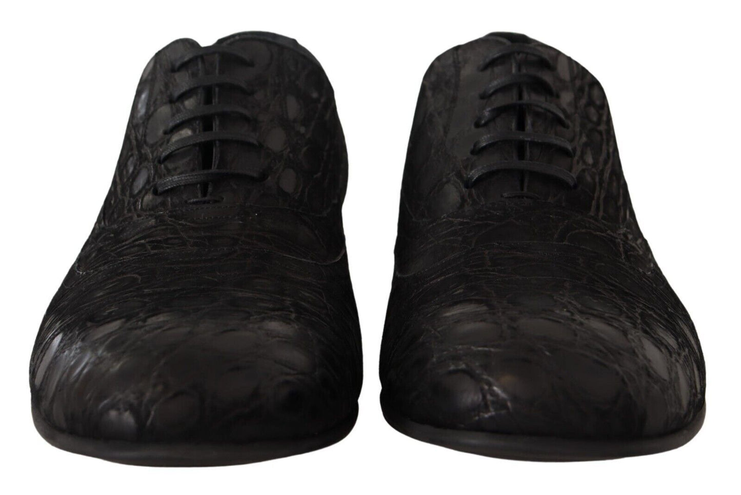 Dolce & Gabbana Elegante Oxford-Schuhe aus exotischem Leder