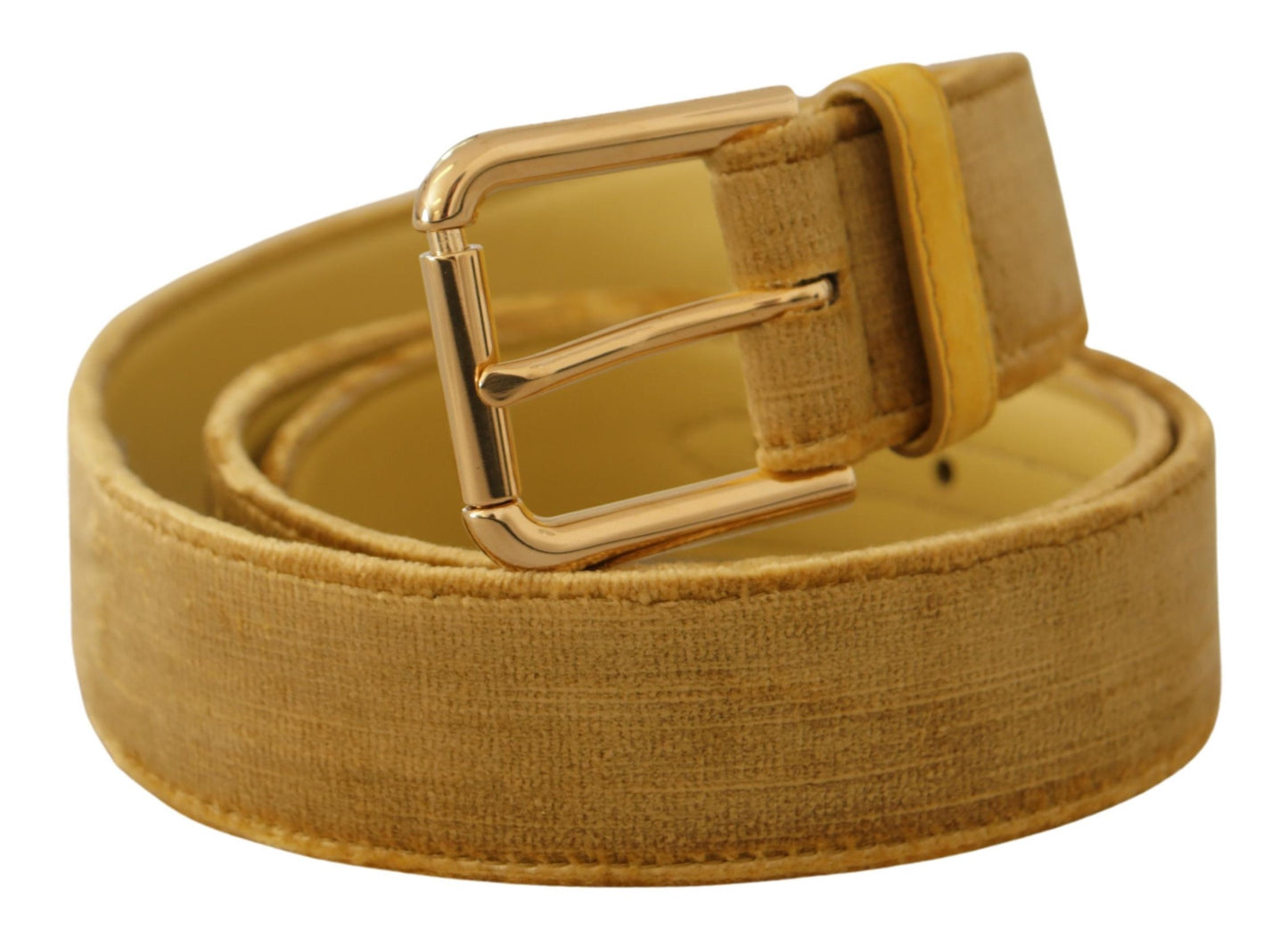 Dolce &amp; Gabbana Elegant designer belt made of velvet with gold buckle