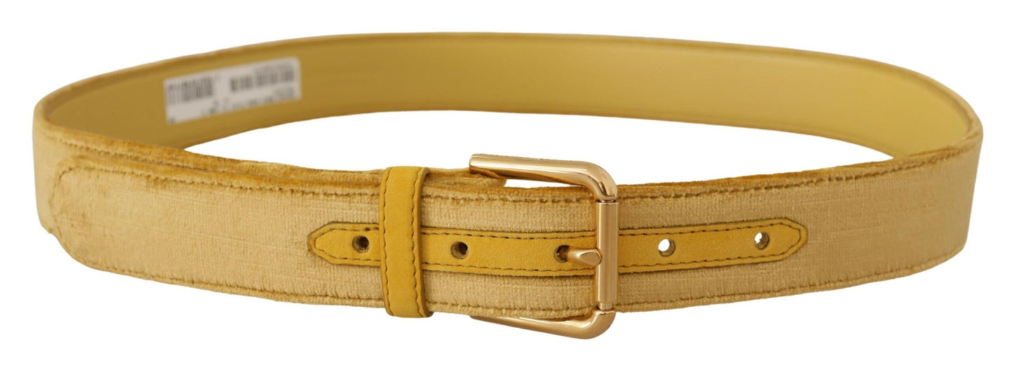 Dolce &amp; Gabbana Elegant designer belt made of velvet with gold buckle