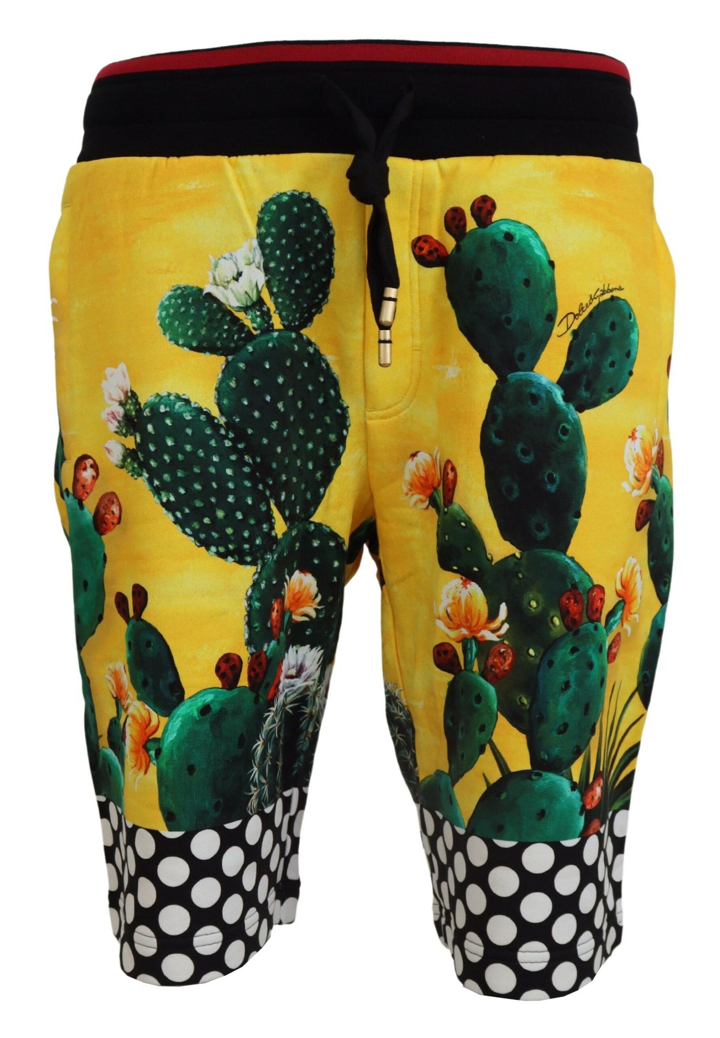 Dolce &amp; Gabbana Multicolor Cactus Print Sweat Shorts