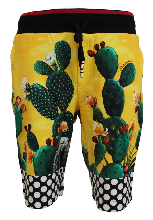 Dolce & Gabbana Multicolor Kaktus Druck Sweat Shorts