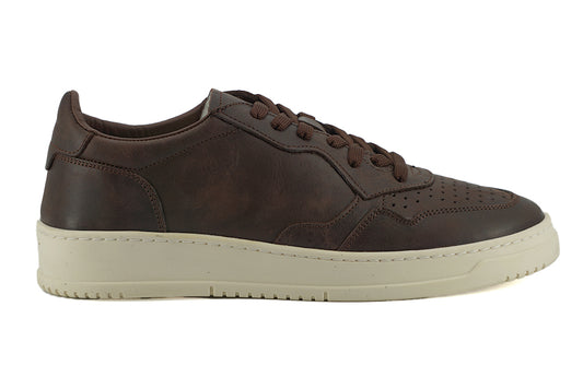 Saxone of Scotland Exclusive Leather-Fabric Sneakers in Brown