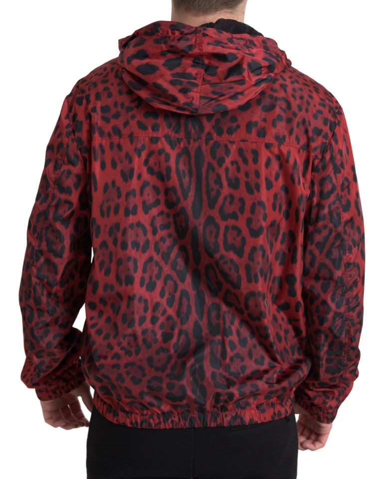 Dolce &amp; Gabbana Red Leopard Hooded Bomber Jacket