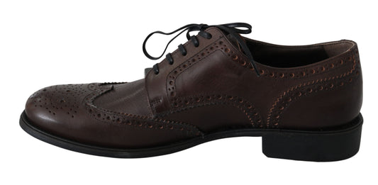 Dolce &amp; Gabbana Elegant Derby Brogues in brown leather