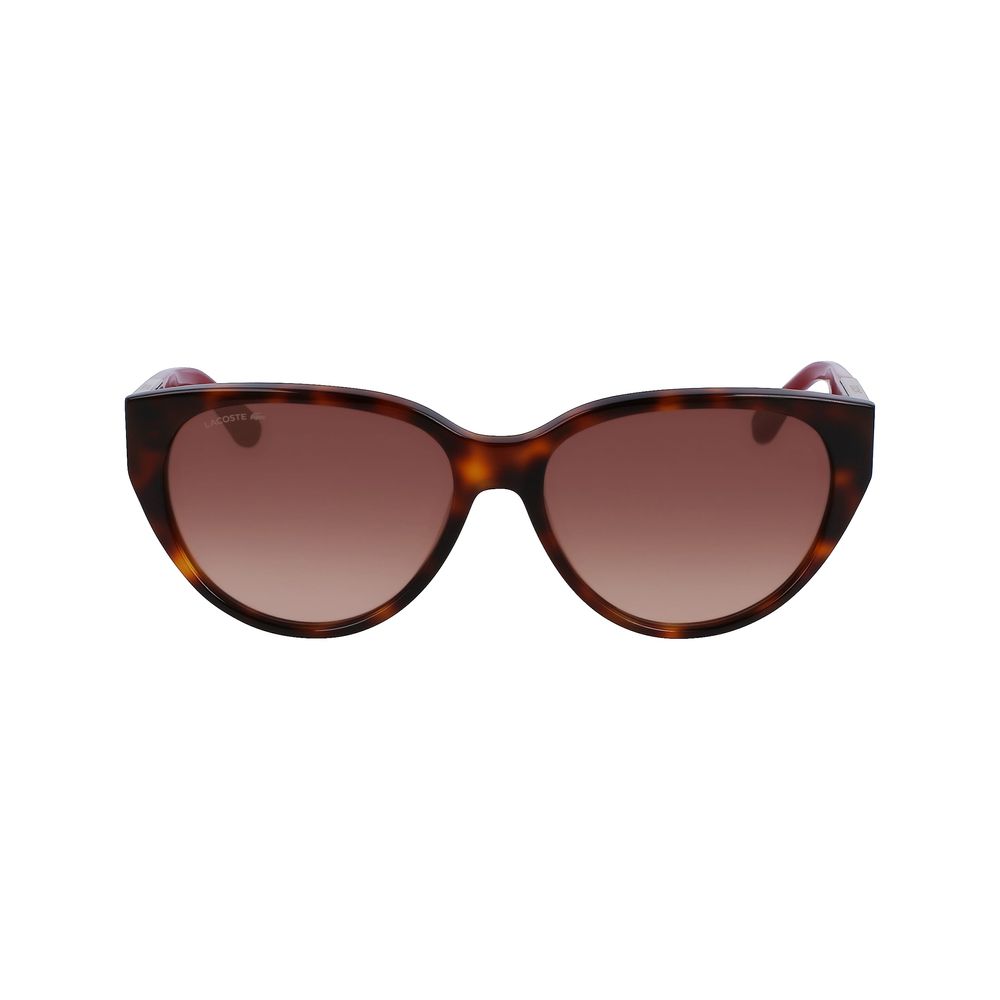 Lacoste Brown Acetate Sunglasses