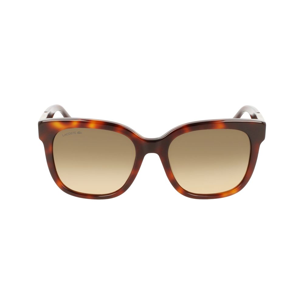 Lacoste Brown Acetate aurinkolasit