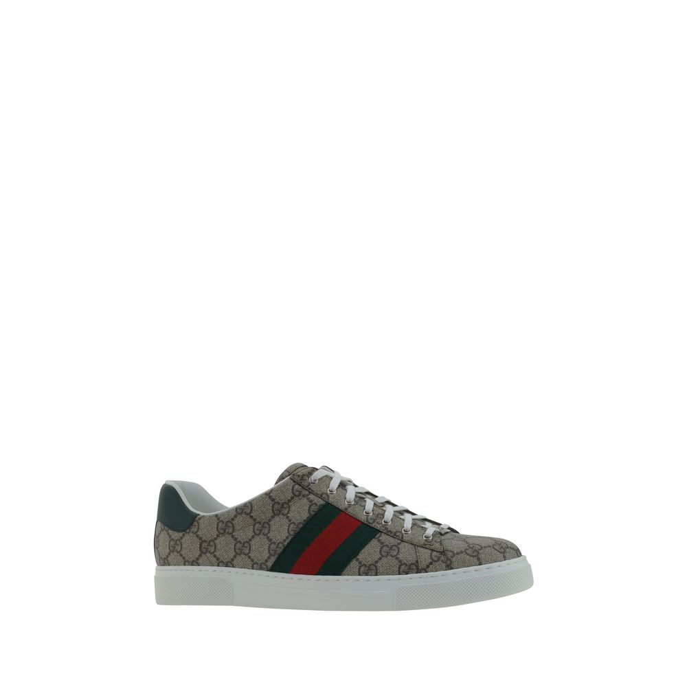 Gucci sneakers