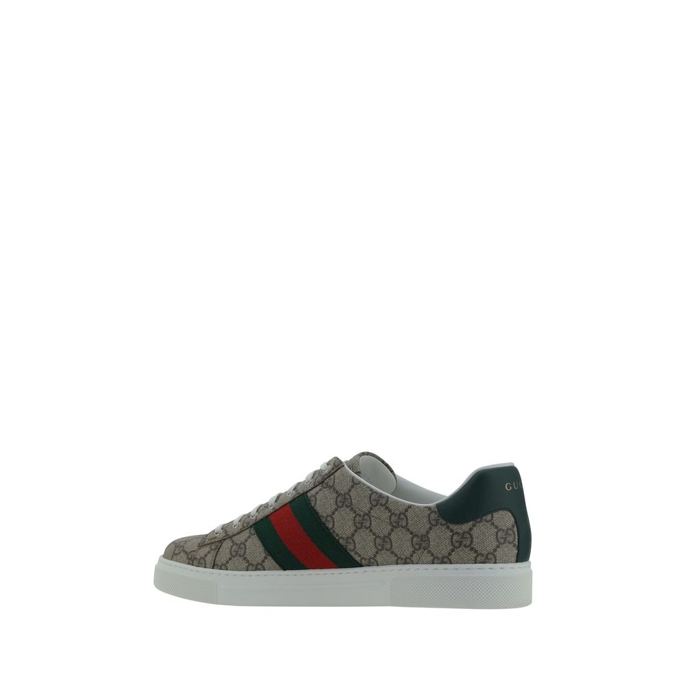 Gucci sneakers