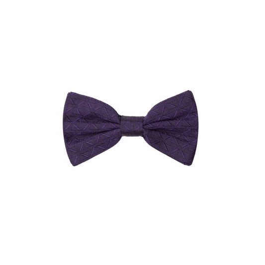 Dolce &amp; Gabbana Purple Silk Ties &amp; Bowty