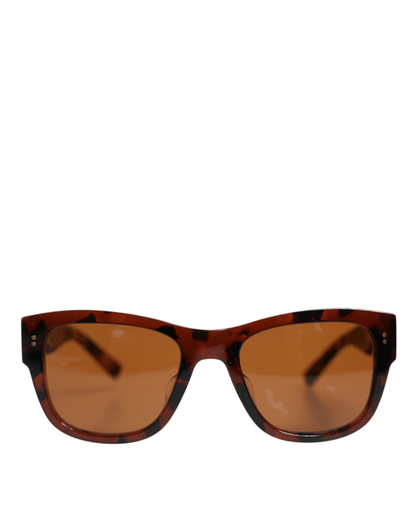 Dolce & Gabbana Havana Brown Black Eccentric Sartorial Eyewear Sunglasses